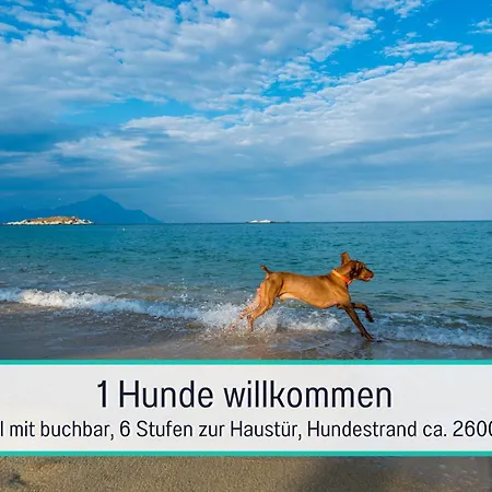 Apartment Familienglück - Viel Platz Für Familien Mit Hund *