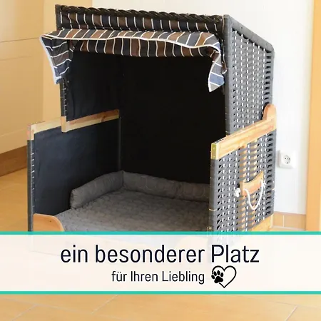 Viel Platz Fuer Sie Und Ihren Hund Zinnowitz